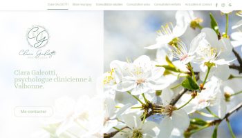 primeurs Menton-fruits et legumes Vintimille-epicerie fine Villefranche-sur-Mer-compositions de fruits menton-magasin d alimentation menton